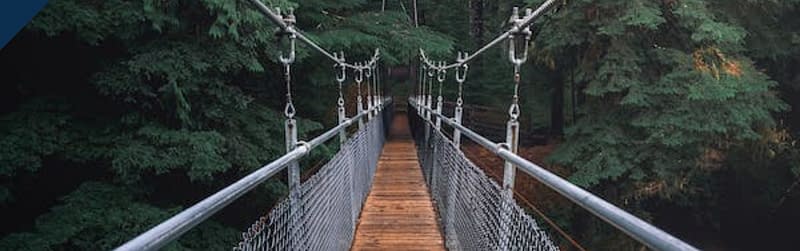 Un ponte di legno sospeso nel vuoto dentro una rigogliosa foresta verde